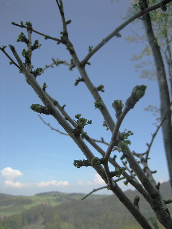 2010 05 23 B